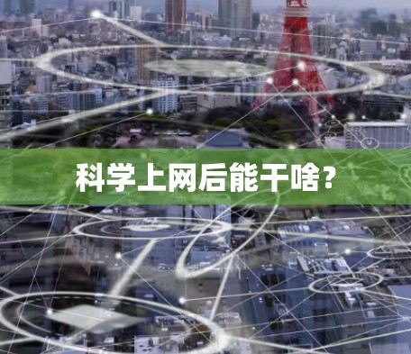 科学上网后能干啥? 科学上网后能干啥?