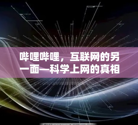 哔哩哔哩,互联网的另一面—科学上网的真相 哔哩哔哩,互联网的另一面—科学上网的真相