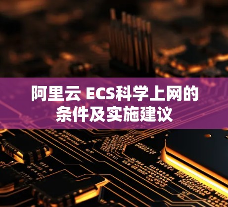 阿里云 ECS科学上网的条件及实施建议
