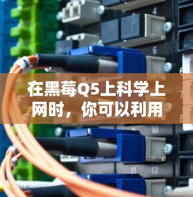 在黑莓Q5上科学上网时，你可以利用其内置的科学计算器功能来完成各种数学计算。以下是一些步骤和方法，帮助你科学上网