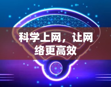 科学上网，让网络更高效