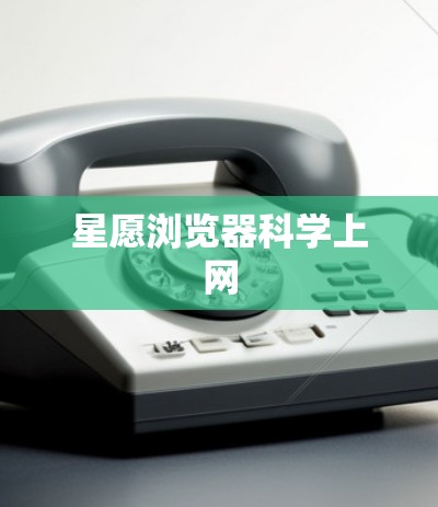 星愿浏览器科学上网 星愿浏览器科学上网