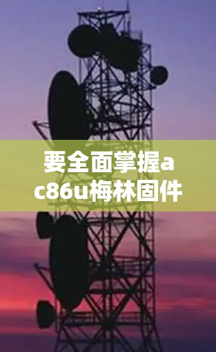 要全面掌握ac86u梅林固件科学上网项目,可以从以下几个步骤进行 要全面掌握ac86u梅林固件科学上网项目,可以从以下几个步骤进行