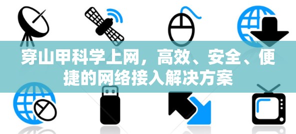 穿山甲科学上网，高效、安全、便捷的网络接入解决方案
