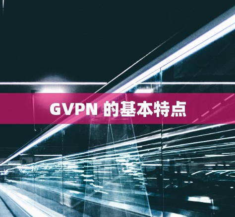 GVPN 的基本特点