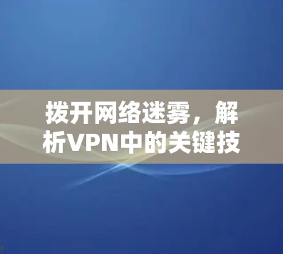拨开网络迷雾,解析VPN中的关键技术与安全策略 拨开网络迷雾,解析VPN中的关键技术与安全策略
