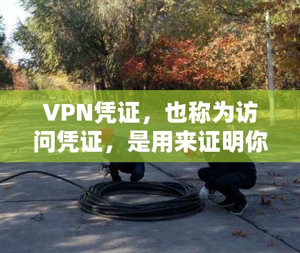 VPN凭证,也称为访问凭证,是用来证明你在使用VPN服务时确实访问了目标网站或服务器的证据。这些凭证通常由网络服务提供商发送给你的网络设备,用于验证你的身份和访问权限 VPN凭证,也称为访问凭证,是用来证明你在使用VPN服务时确实访问了目标网站或服务器的证据。这些凭证通常由网络服务提供商发送给你的网络设备,用于验证你的身份和访问权限