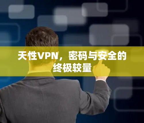 天性VPN，密码与安全的终极较量