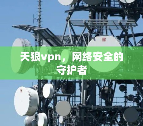 天狼vpn，网络安全的守护者