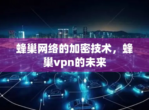蜂巢网络的加密技术,蜂巢vpn的未来 蜂巢网络的加密技术,蜂巢vpn的未来