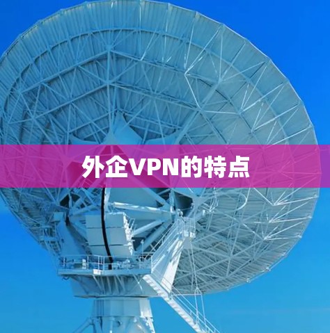 外企VPN的特点 外企VPN的特点
