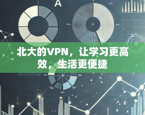 北大的VPN,让学习更高效,生活更便捷 北大的VPN,让学习更高效,生活更便捷