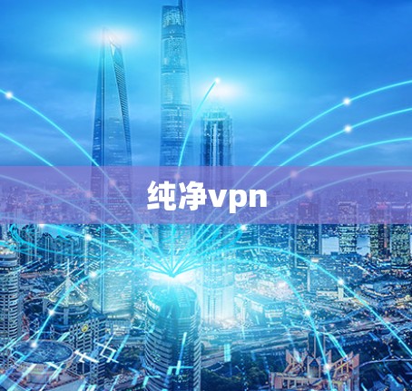纯净vpn