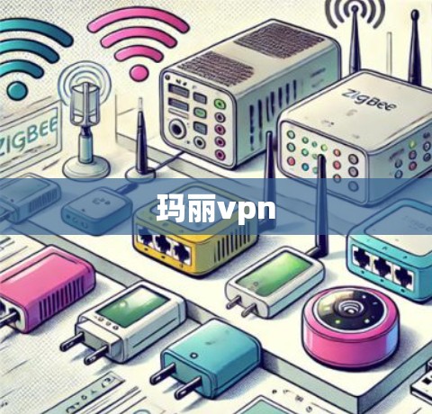 玛丽vpn