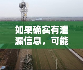 如果确实有泄漏信息，可能是指VPN服务中出现的漏洞或安全问题，导致用户的数据被泄露或影响。这种情况通常是通过恶意软件或漏洞来实现的，而不是VPN本身