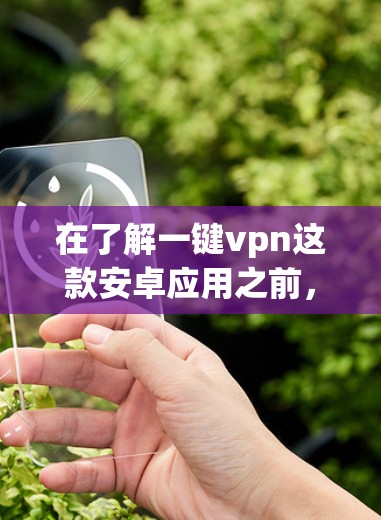 在了解一键vpn这款安卓应用之前，我需要逐步进行研究和验证，以确保我的使用体验和安全性。以下是对一键vpn在安卓平台上的详细分析和使用指南