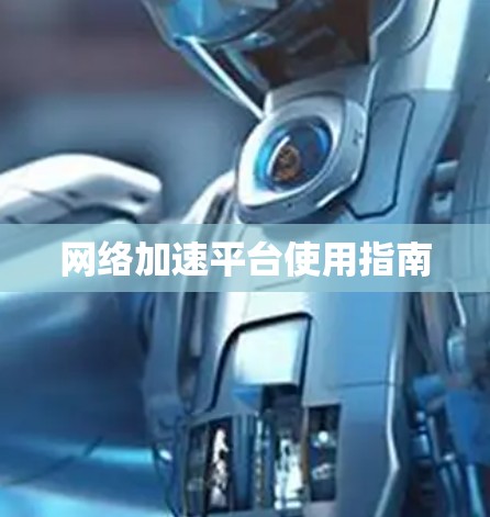 网络加速平台使用指南 网络加速平台使用指南