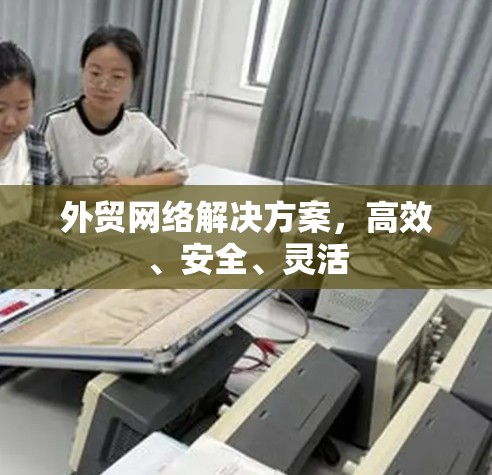外贸网络解决方案,高效、安全、灵活 外贸网络解决方案,高效、安全、灵活
