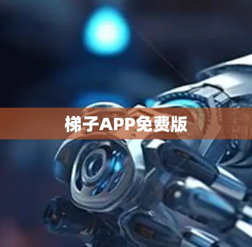 梯子APP免费版 梯子APP免费版