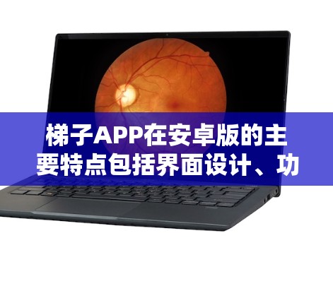 梯子APP在安卓版的主要特点包括界面设计、功能模块、性能优化、用户界面、更新频率、安全性和兼容性等方面。以下是详细的总结
