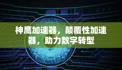神鹰加速器,颠覆性加速器,助力数字转型 神鹰加速器,颠覆性加速器,助力数字转型