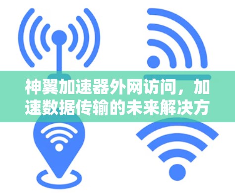 神翼加速器外网访问，加速数据传输的未来解决方案