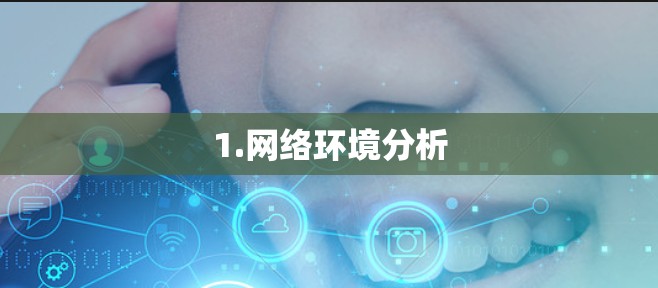 1.网络环境分析