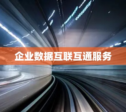 企业数据互联互通服务 企业数据互联互通服务