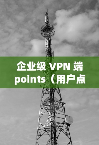 企业级 VPN 端points(用户点)的部署方案需要综合考虑企业的网络规模、技术需求和合规要求。以下是详细的部署方案 企业级 VPN 端points(用户点)的部署方案需要综合考虑企业的网络规模、技术需求和合规要求。以下是详细的部署方案