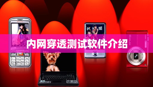 内网穿透测试软件介绍 内网穿透测试软件介绍
