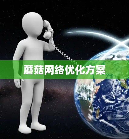 蘑菇网络优化方案 蘑菇网络优化方案