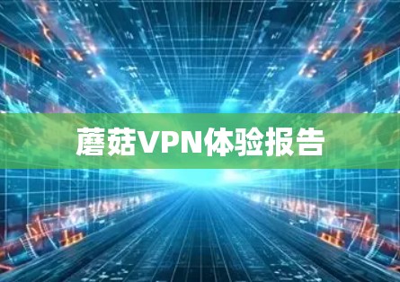蘑菇VPN体验报告 蘑菇VPN体验报告