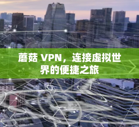 蘑菇 VPN,连接虚拟世界的便捷之旅