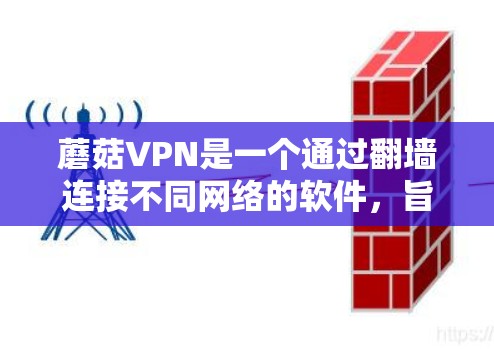 蘑菇VPN是一个通过翻墙连接不同网络的软件,旨在为用户提供安全、高效的数据传输服务。为了下载并稳定安装该软件,可以按照以下步骤进行