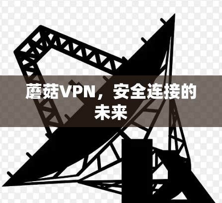 蘑菇VPN,安全连接的未来