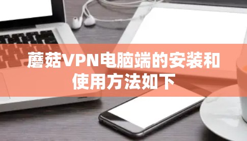 蘑菇VPN电脑端的安装和使用方法如下