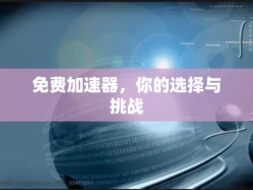 免费加速器，你的选择与挑战