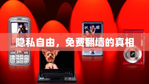 隐私自由,免费翻墙的真相 隐私自由,免费翻墙的真相