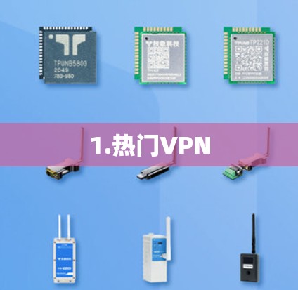 1.热门VPN