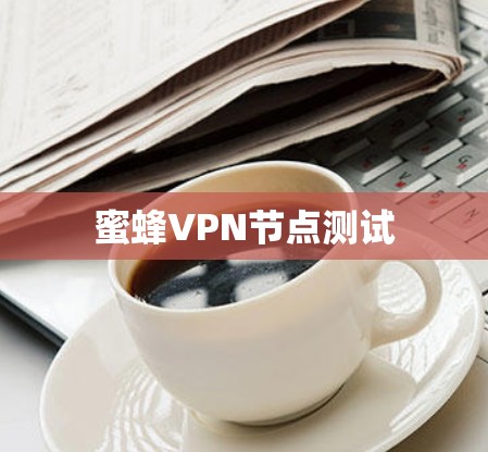 蜜蜂VPN节点测试