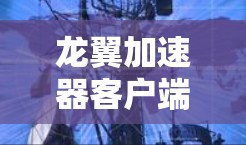龙翼加速器客户端是用于加速手机网络的软件，支持3G和4G网络。以下是详细的步骤和注意事项