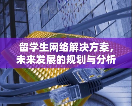 留学生网络解决方案,未来发展的规划与分析 留学生网络解决方案,未来发展的规划与分析