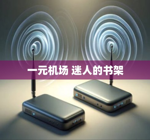 一元机场 迷人的书架 一元机场 迷人的书架