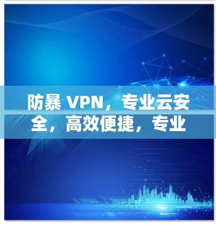 防暴 VPN,专业云安全,高效便捷,专业可靠